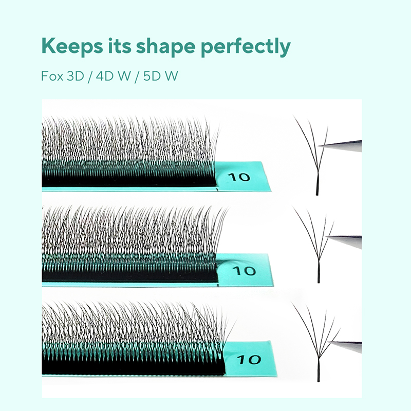 DIYDAY Foxy W-Shaped 3D 4D 5D  - Eyelash Extension Volume Cat Eye のレビューと価格