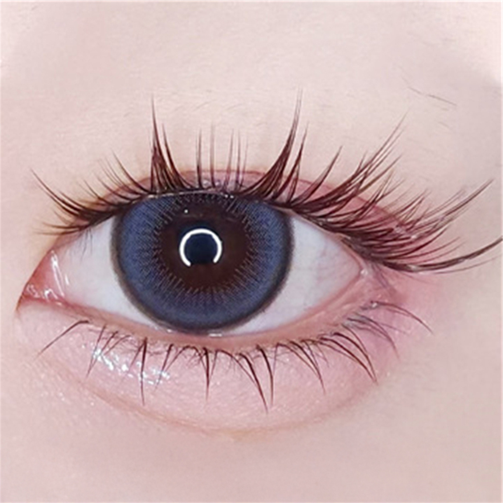 10rows Cat Eye Anime Lower Fal - Eyelash Extension Volume Cat Eye のレビューと価格